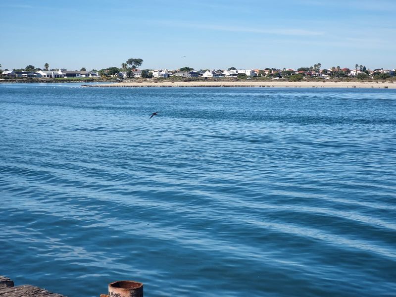 A scenic view of the water looking towards the distant residential coastline.