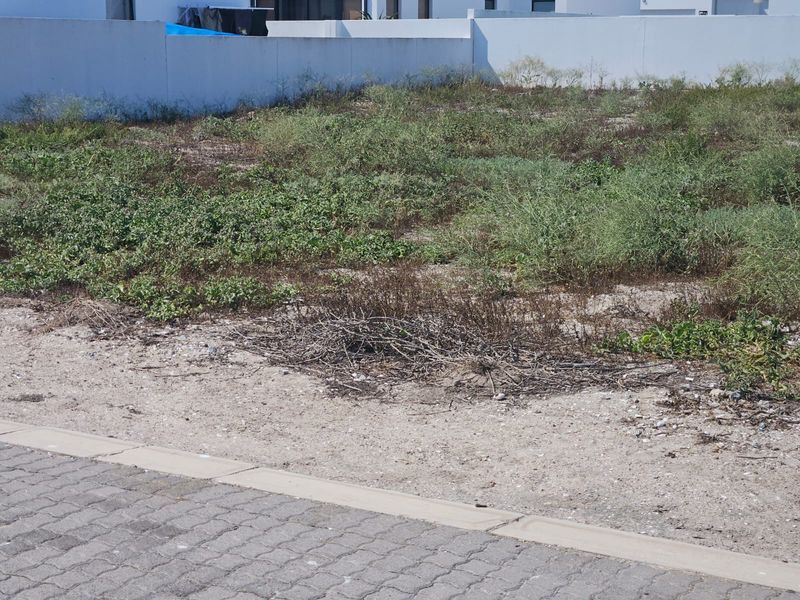 A vacant residential plot featuring a boundary wall and paved verge, currently covered in natural vegetation.
