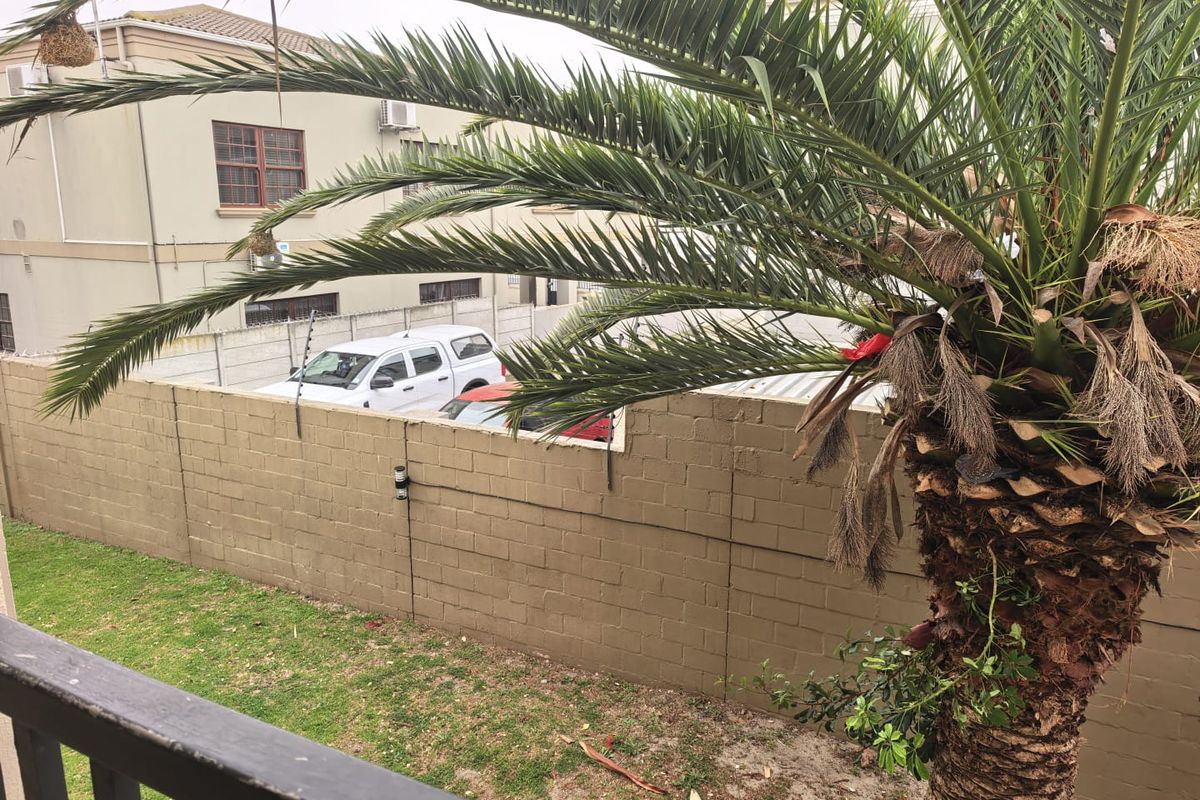 View of the rear garden area featuring a boundary wall with electric fencing and a large palm tree.
