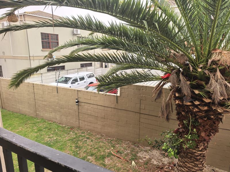 View of the rear garden area featuring a boundary wall with electric fencing and a large palm tree.