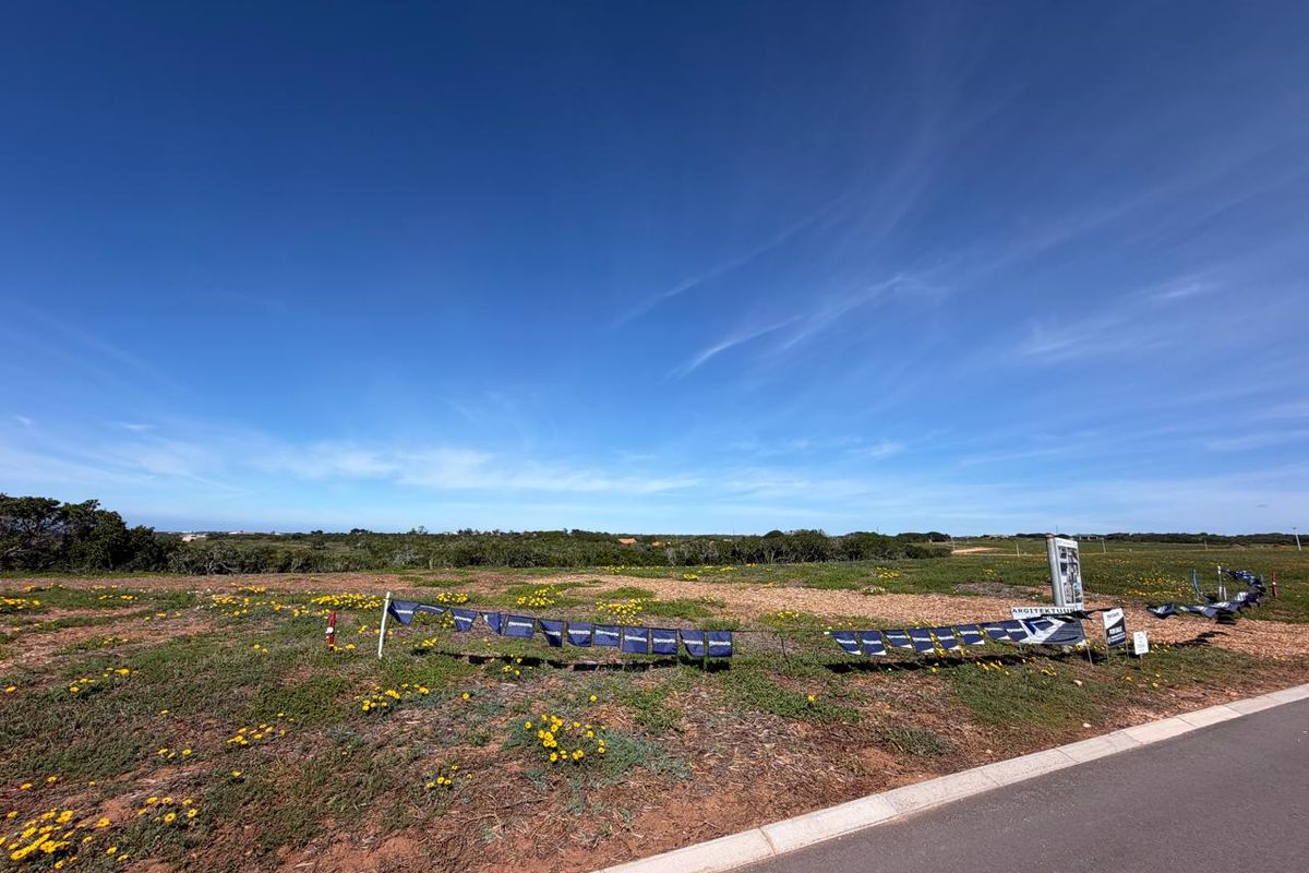 A vacant residential plot of land featuring natural vegetation and a paved road frontage, ideal for new construction.