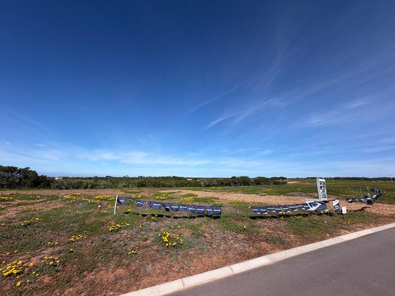 A vacant residential plot of land featuring natural vegetation and a paved road frontage, ideal for new construction.