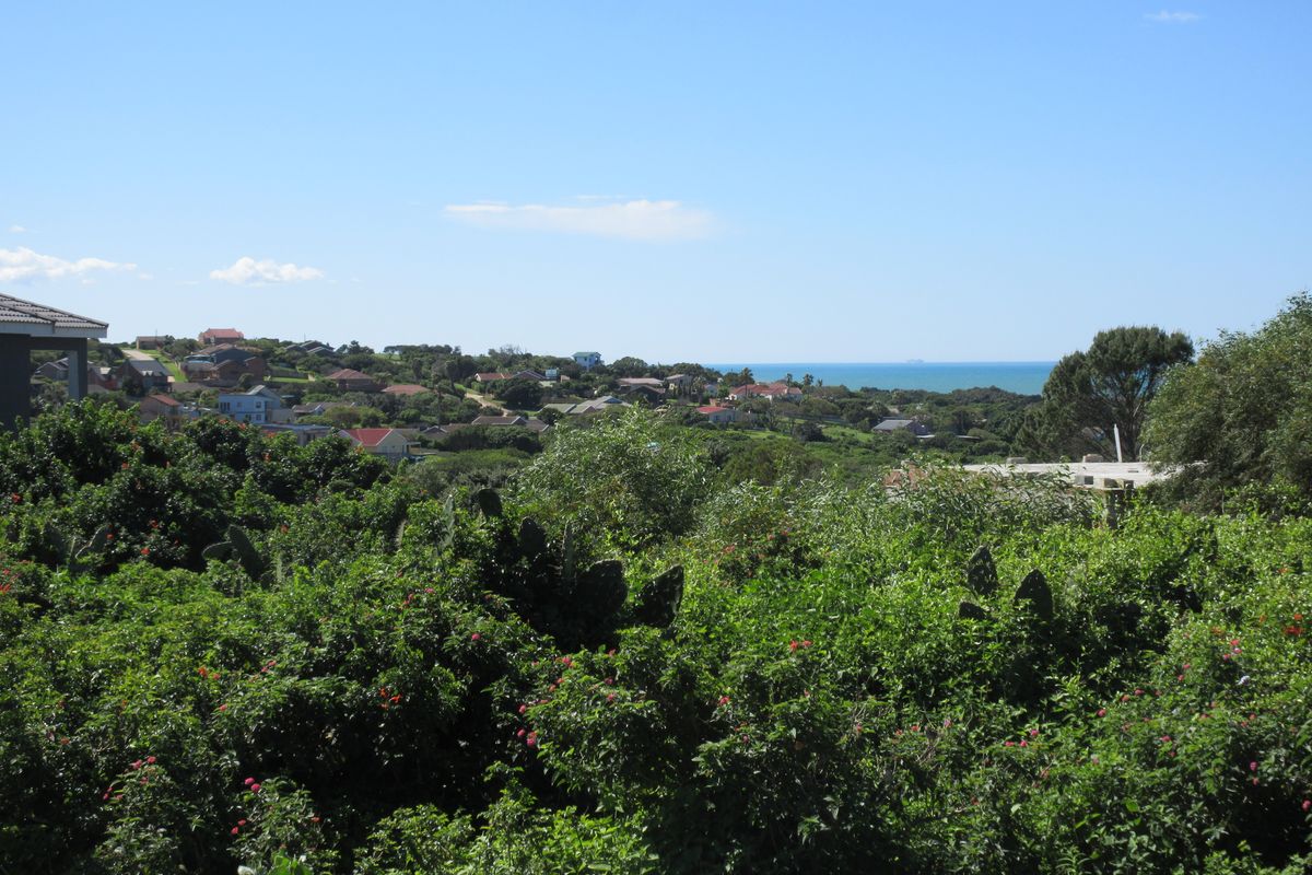 A scenic elevated view overlooking the surrounding coastal residential neighborhood and distant ocean horizon.