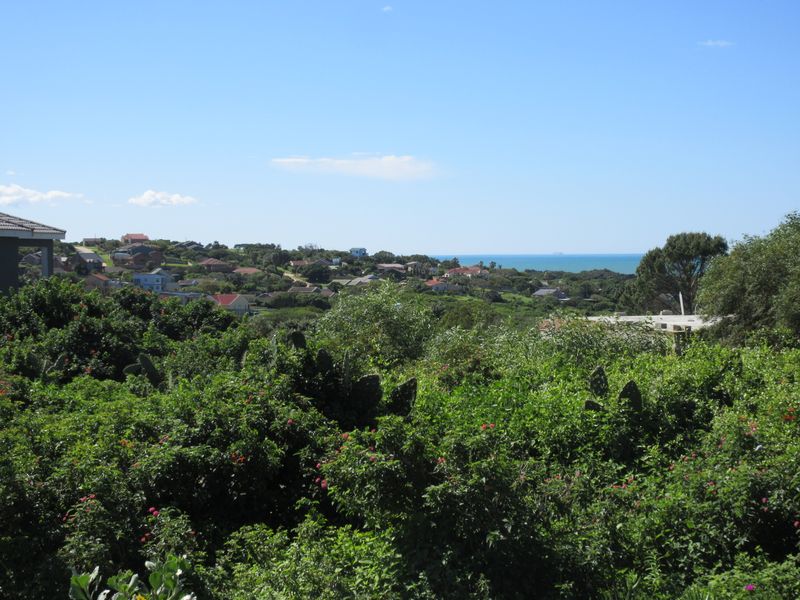 A scenic elevated view overlooking the surrounding coastal residential neighborhood and distant ocean horizon.