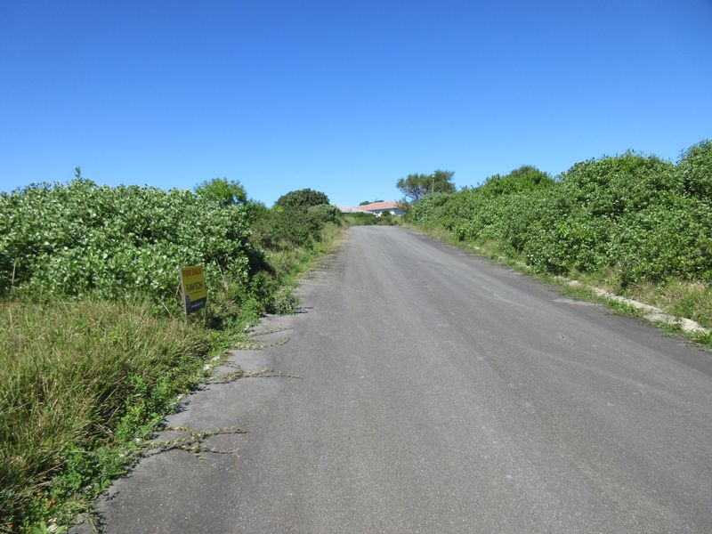 A view of the asphalt access road leading to the vacant residential property, bordered by established vegetation.