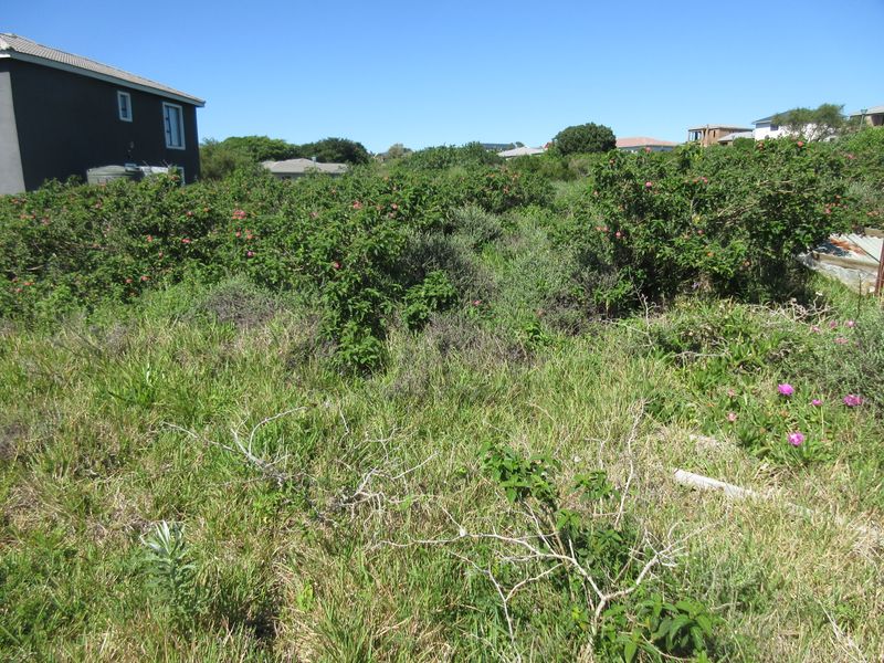 A view of a vacant residential plot covered in dense native vegetation and shrubs, situated in a developed neighborhood.