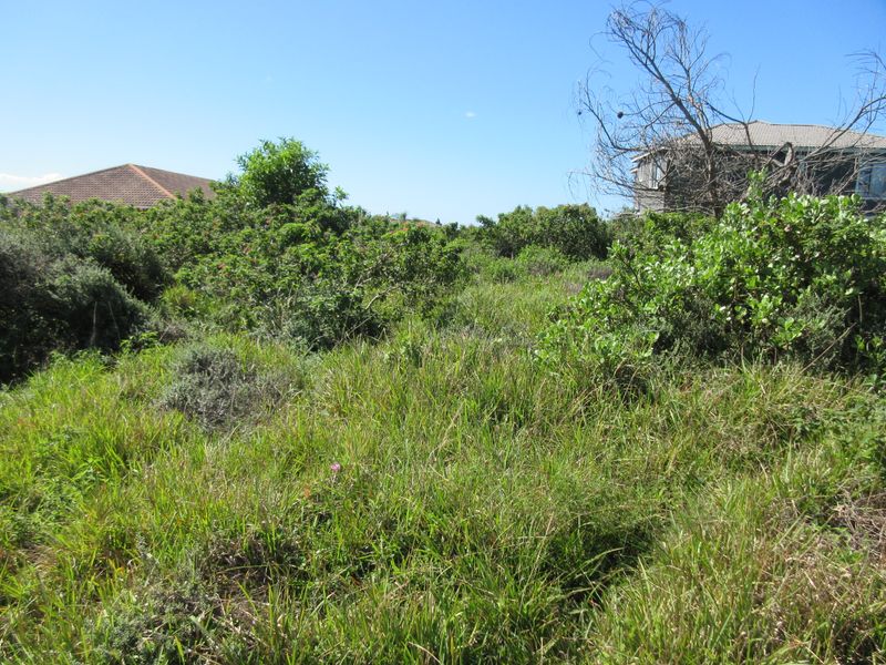 A view of a vacant residential plot featuring dense, overgrown natural vegetation and shrubs, typical of an undeveloped land parcel.