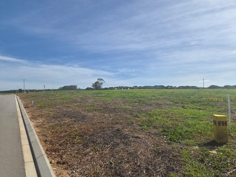A vacant residential plot featuring level terrain, adjacent paved road access, and established concrete curbing, ready for development.