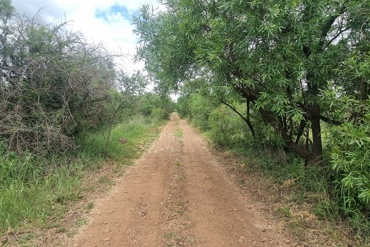 A dirt access road winding through natural bushveld and native vegetation on the farm property.