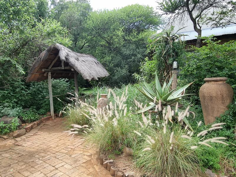 A lush, established garden featuring a rustic thatched gazebo, brick paved pathways, and mature indigenous trees, creating a serene outdoor environment.
