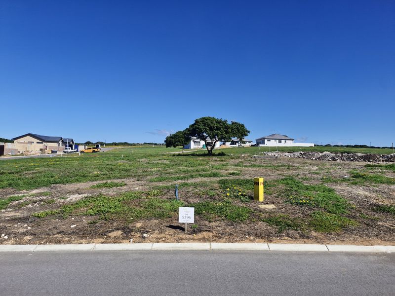 A vacant residential plot featuring a level landscape, clear boundaries, and established street infrastructure in a developing neighborhood.