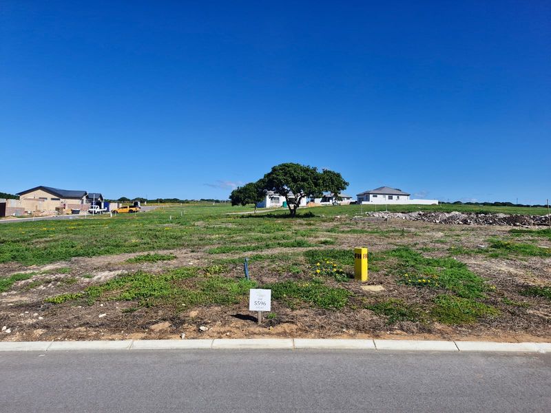 A vacant residential plot featuring a level landscape, established curb, and utility connection points, situated in a developing neighborhood.