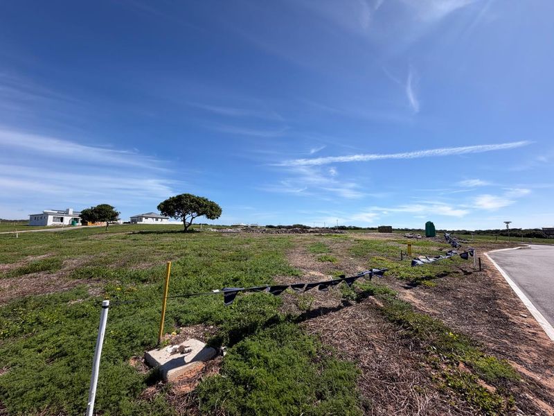 A wide-angle view of a vacant residential plot featuring natural vegetation, boundary markers, and direct access to a paved street.