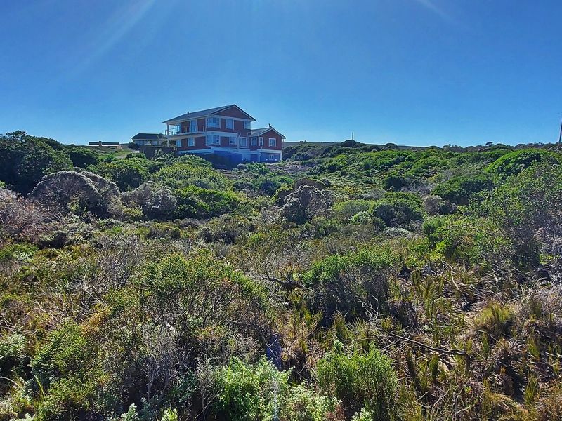 A view of a residential property situated on a large plot of land covered in native coastal vegetation.
