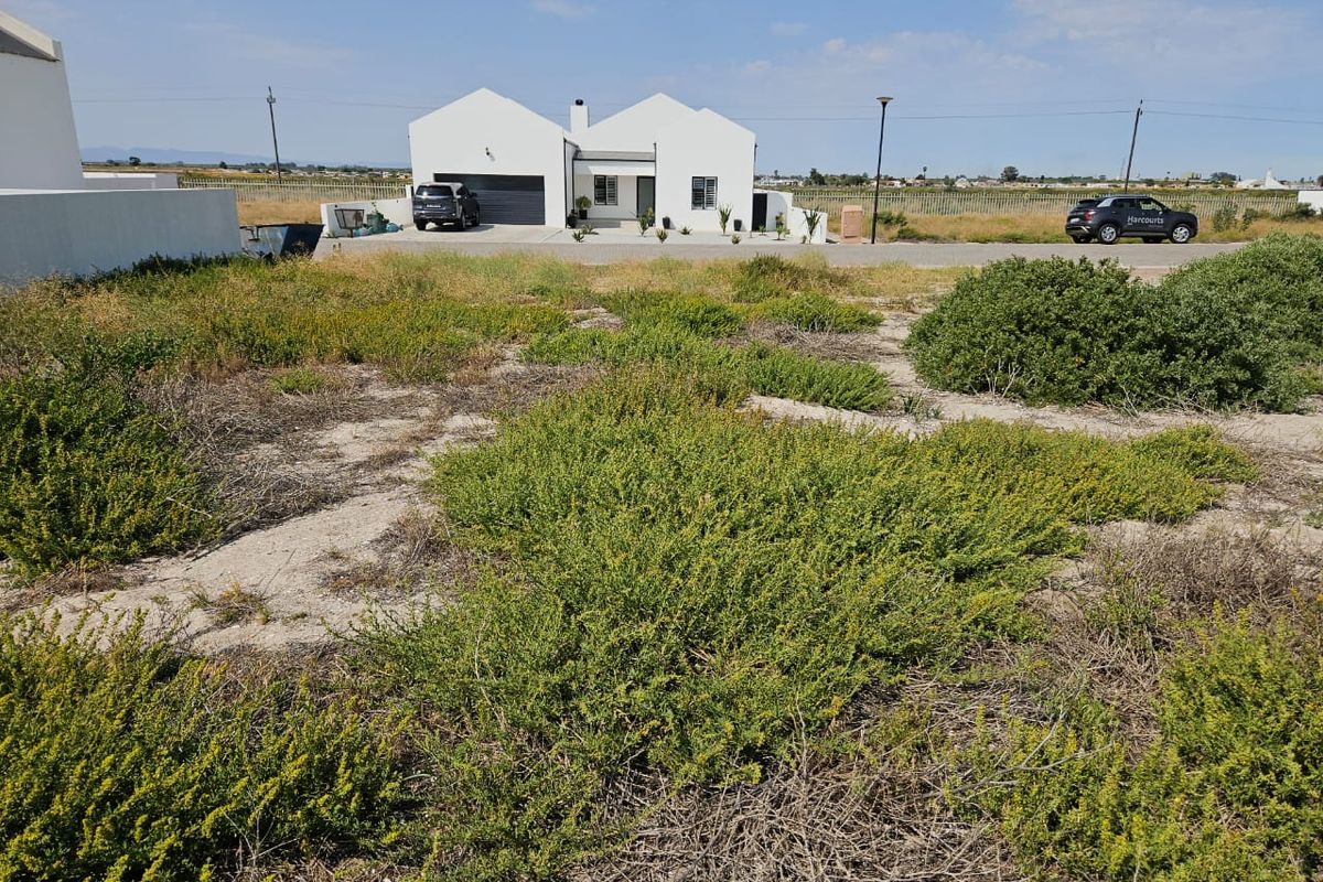 A vacant residential plot featuring sandy terrain and native vegetation, situated in a developed neighborhood with nearby residential housing.