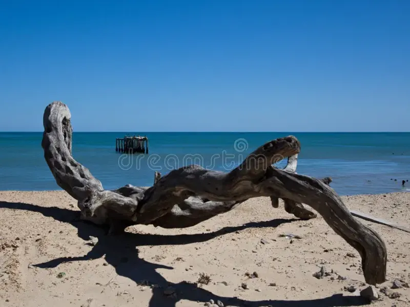 A scenic coastal view featuring a sandy beach, driftwood, and distant ocean structures under a clear blue sky.
