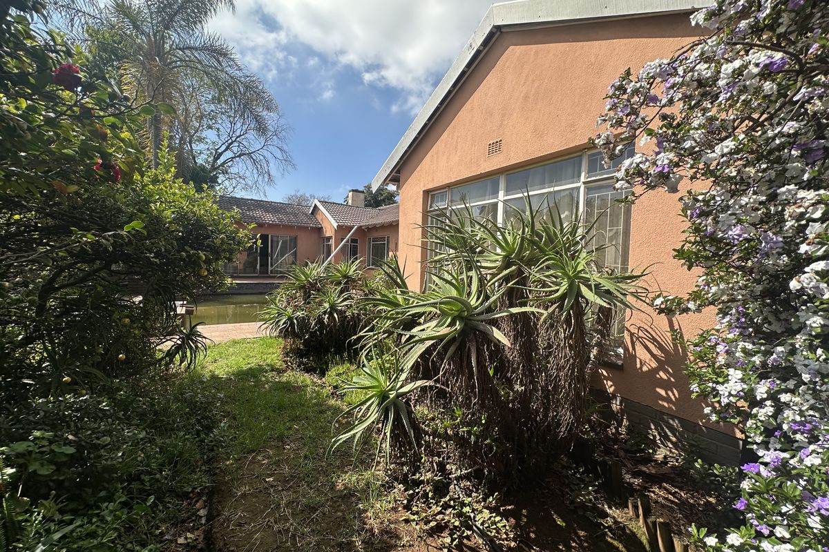 Rear view of the house featuring a swimming pool, established garden, and stucco exterior walls with large windows.