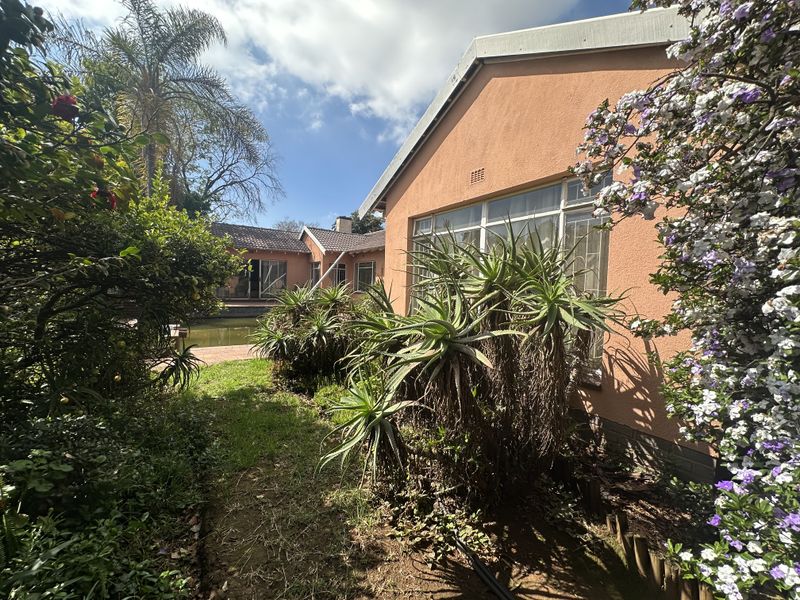 Rear view of the house featuring a swimming pool, established garden, and stucco exterior walls with large windows.