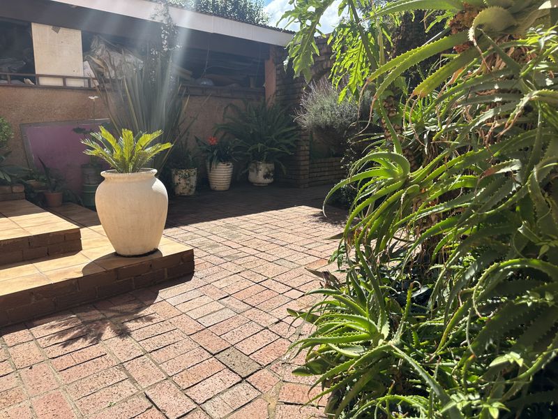 A rear garden area featuring brick paving, a raised patio platform, and established garden beds with brick retaining walls.