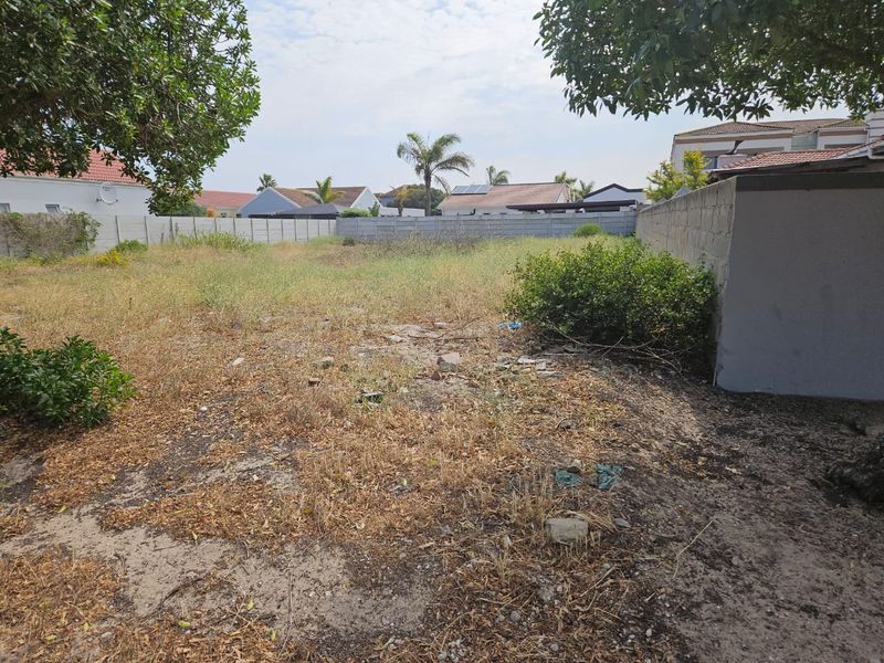A vacant residential plot featuring a precast concrete boundary wall and overgrown natural vegetation.