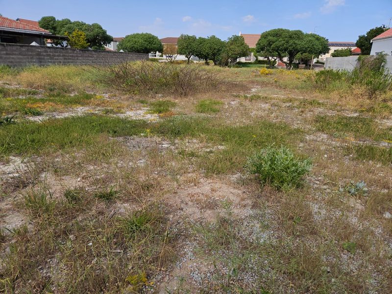 A vacant residential plot featuring natural vegetation and perimeter boundary walls, situated within an established neighborhood setting.