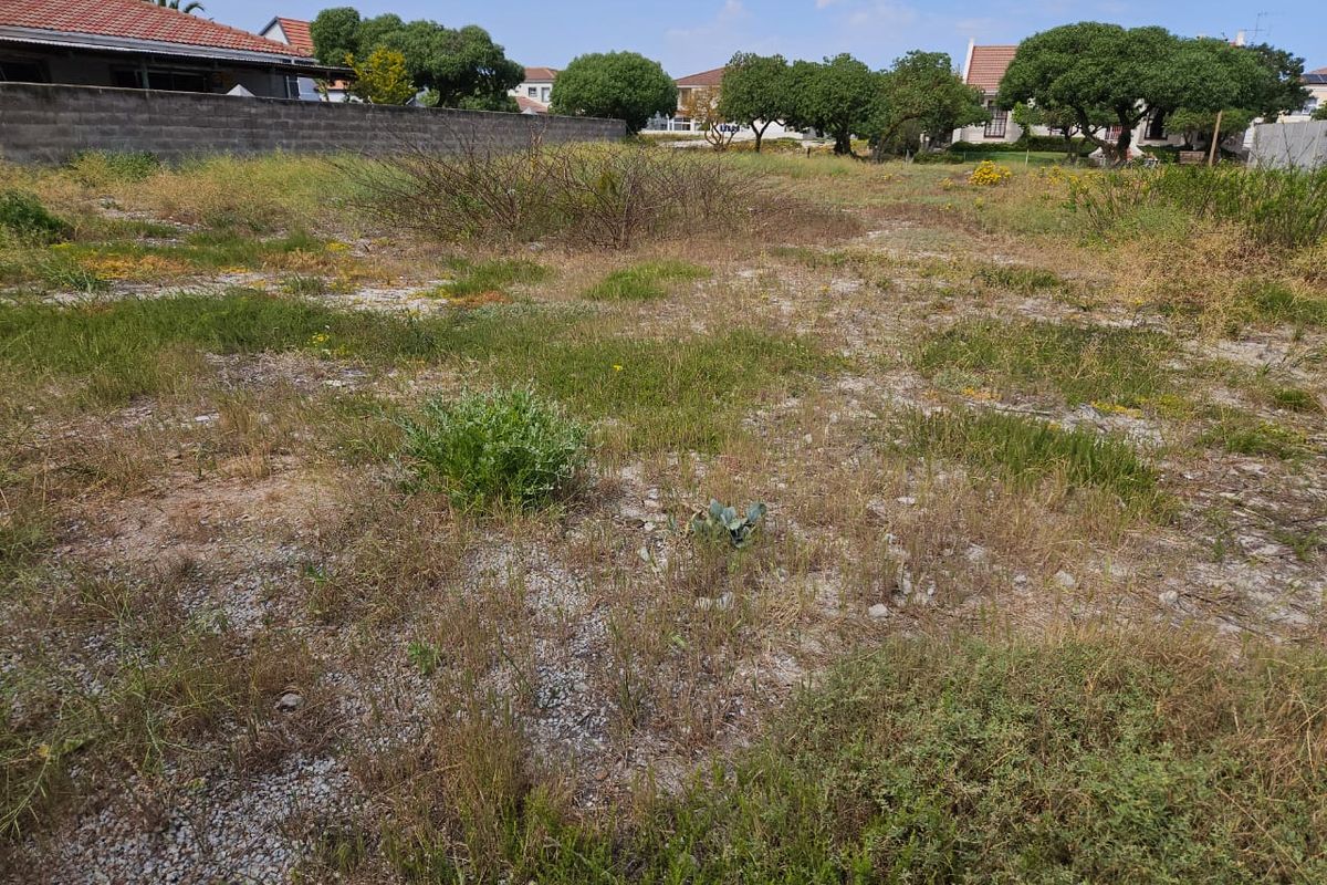 A vacant residential plot featuring natural vegetation and a perimeter boundary wall, situated in a developed neighborhood.