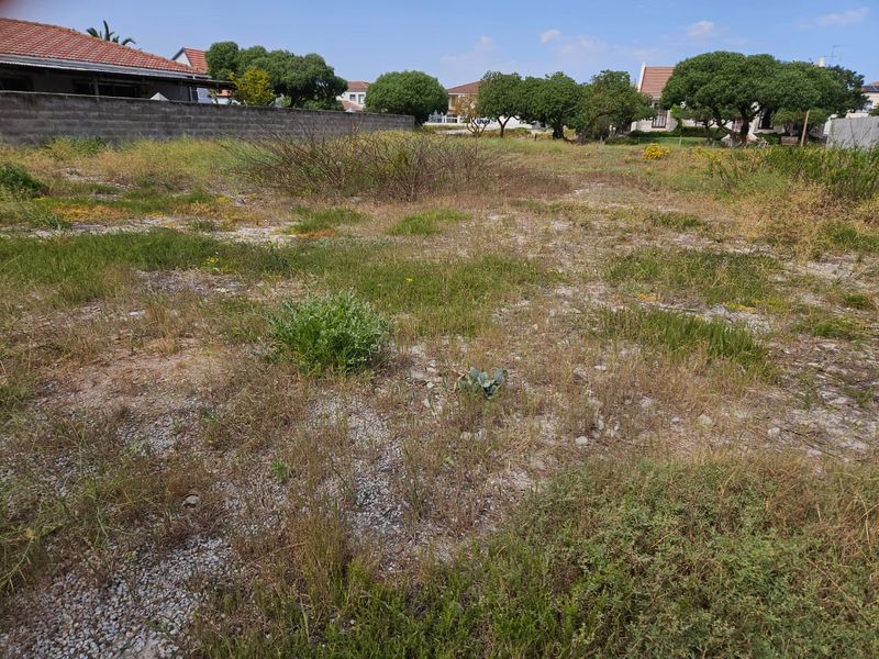 A vacant residential plot featuring natural vegetation and a perimeter boundary wall, situated in a developed neighborhood.