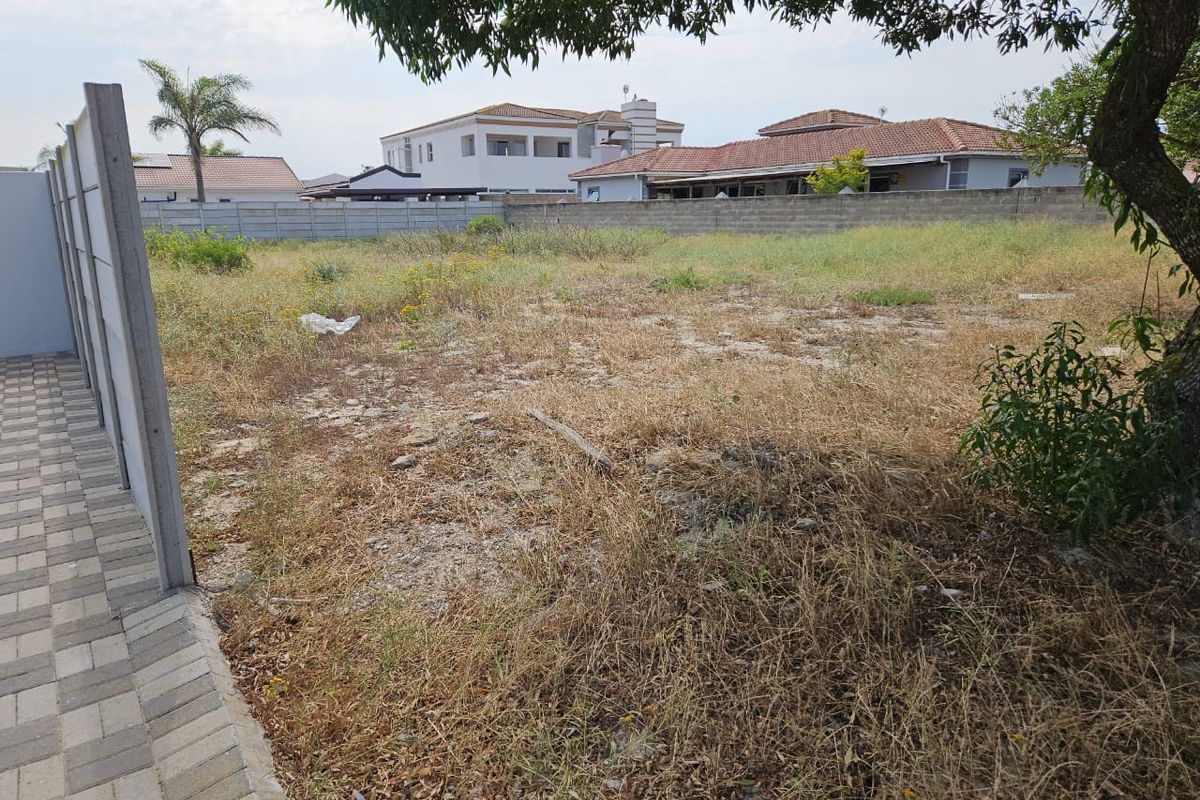 A vacant residential plot featuring a precast concrete boundary wall, paved walkway, and overgrown natural vegetation.