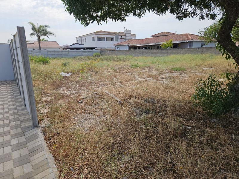 A vacant residential plot featuring a precast concrete boundary wall, paved walkway, and overgrown natural vegetation.