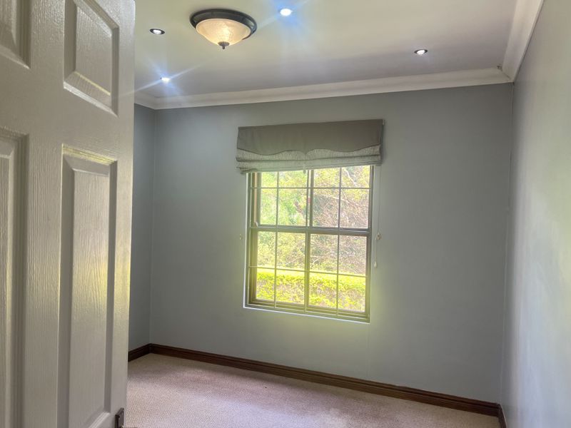 A bright, empty bedroom featuring neutral wall paint, carpeted flooring, recessed lighting, and a window with a fitted roman blind.