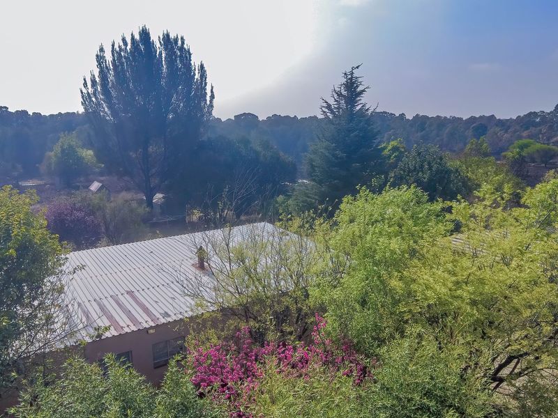 An elevated aerial view of the property grounds, showcasing the surrounding landscape, mature trees, and the corrugated metal roof of the main structure.