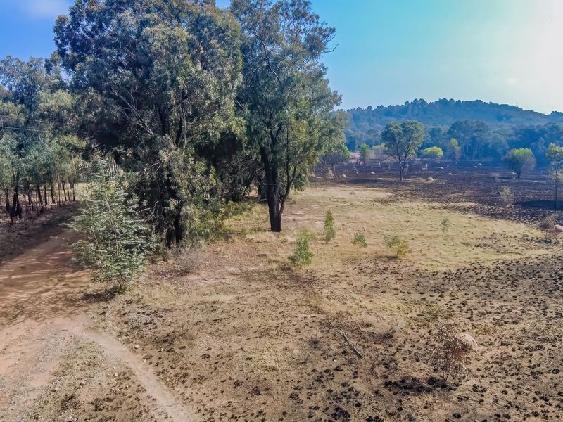 Aerial view of a large small holding property featuring a dirt access road, mature trees, and open land showing signs of recent fire damage.
