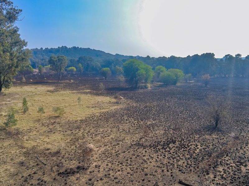 An elevated view of the small holding property showing open land with signs of recent fire damage to the vegetation and surrounding trees.