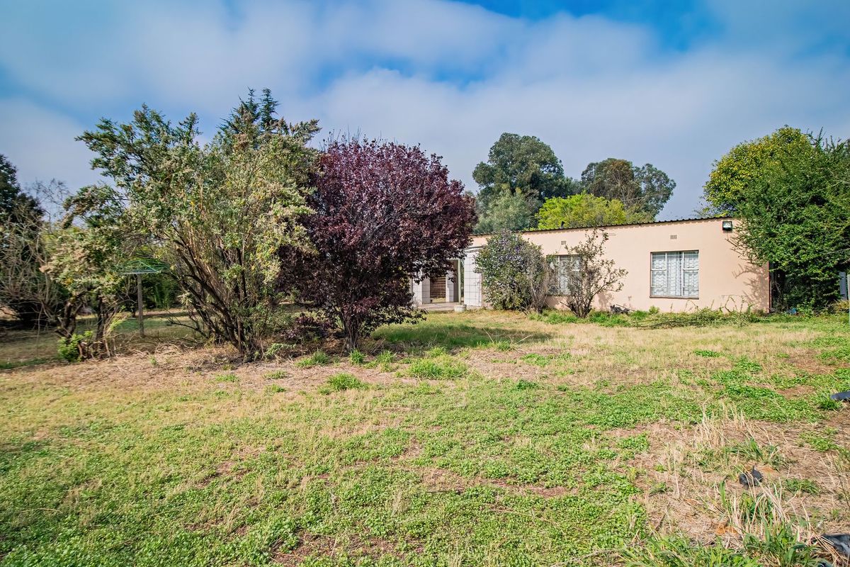 Rear view of the property showing the building facade, security bars on windows, and a large, unmaintained garden area.