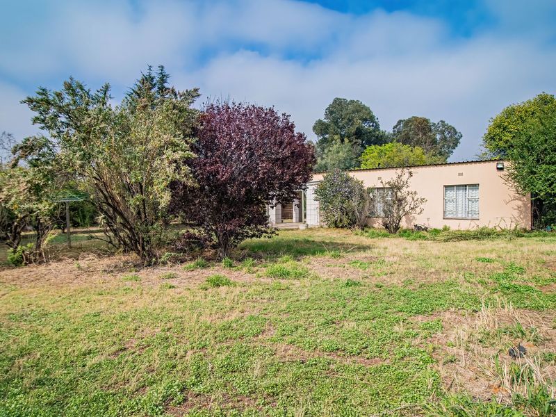 Rear view of the property showing the building facade, security bars on windows, and a large, unmaintained garden area.