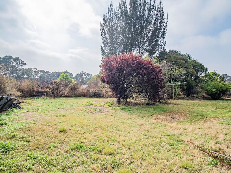 A large, unmaintained garden area featuring mature trees, overgrown grass, and perimeter fencing on a small holding property.