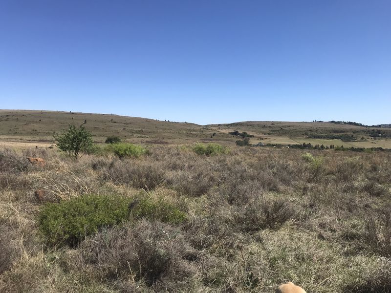 A wide-angle view of the vacant residential land, showcasing the natural landscape and surrounding hilly terrain.