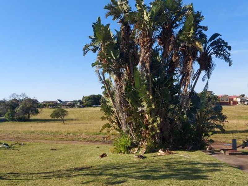 A view of an open grassy field with mature trees and surrounding residential neighborhood in the distance.