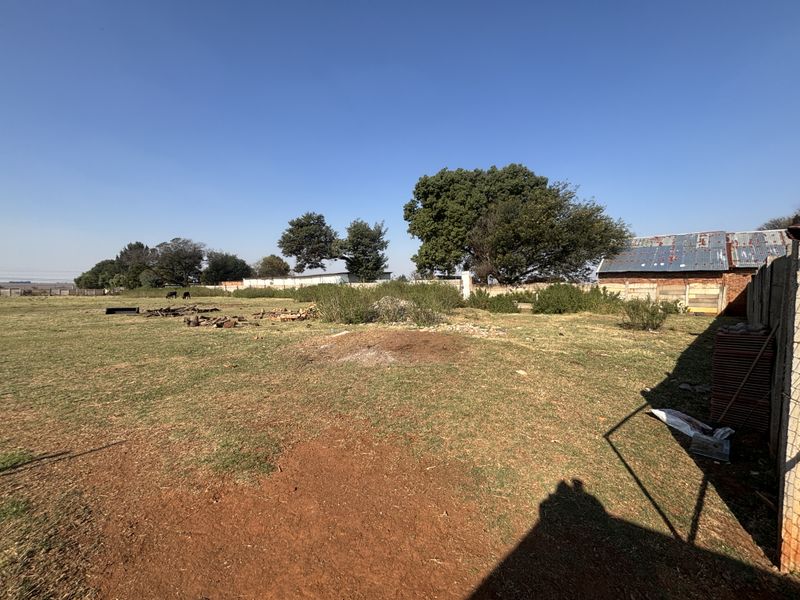 Expansive open garden area on a small holding, featuring perimeter walling and an existing outbuilding structure with weathered roofing.
