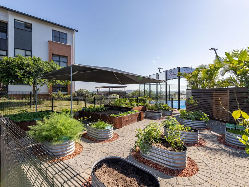 A well-maintained communal garden area featuring raised vegetable beds, paved pathways, a shade sail, and adjacent sports court facilities.