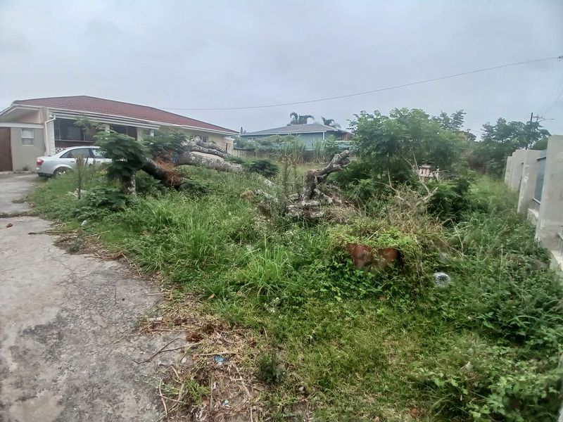 Front exterior view of the property featuring a concrete driveway and perimeter wall, currently requiring significant landscaping and site clearance.