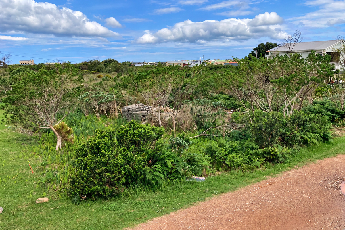 An overgrown garden area featuring natural vegetation and an adjacent unpaved path, offering potential for landscaping development.