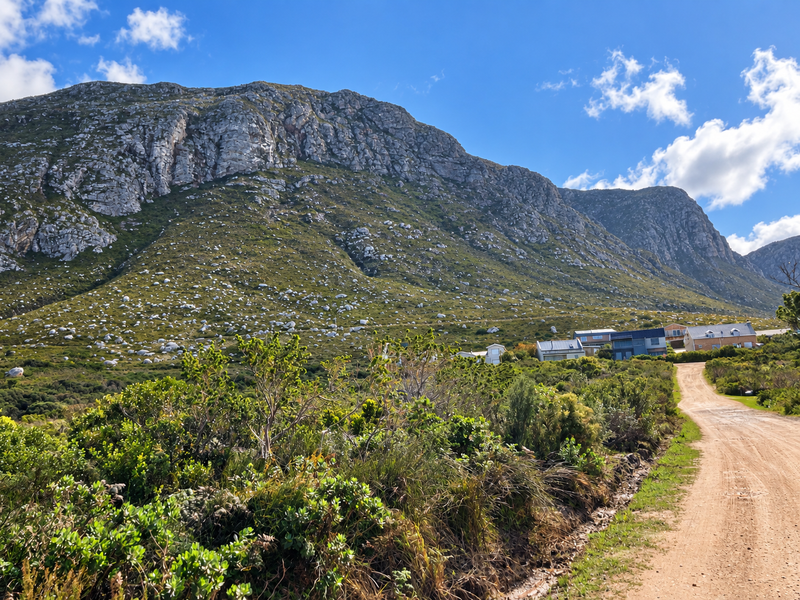 A scenic view of a rugged mountain range overlooking a quiet residential area and a dirt access road.