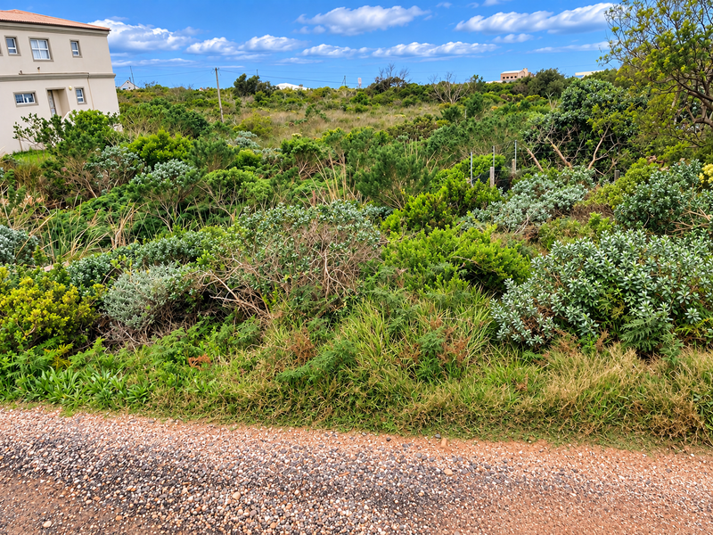 A view of a natural, overgrown garden area with native shrubs and vegetation, adjacent to a gravel road and a residential building.