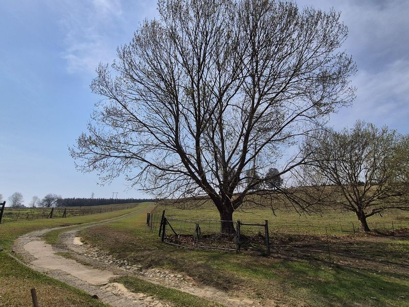 A scenic view of the farm property featuring a gravel driveway, wire fencing, and mature trees across the open landscape.
