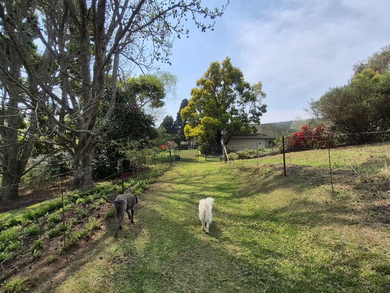 A view of the farm garden featuring established trees, grassy pathways, and wire perimeter fencing with a metal gate.