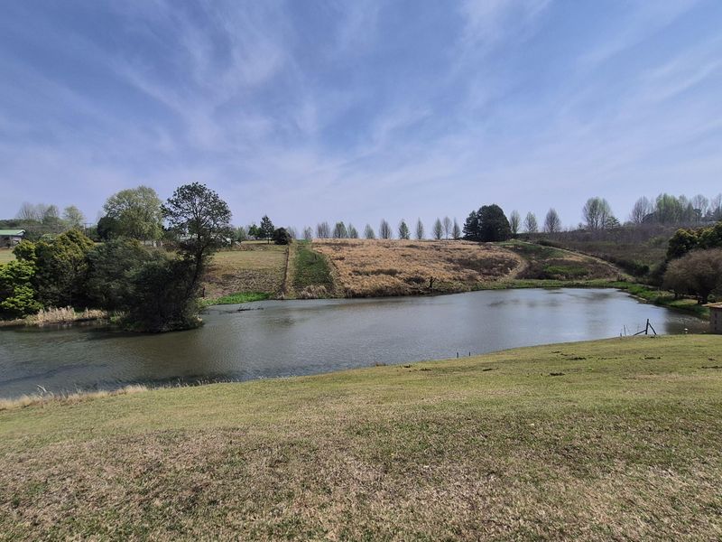 A scenic view of a farm dam surrounded by rolling pastures and established trees on a clear day.
