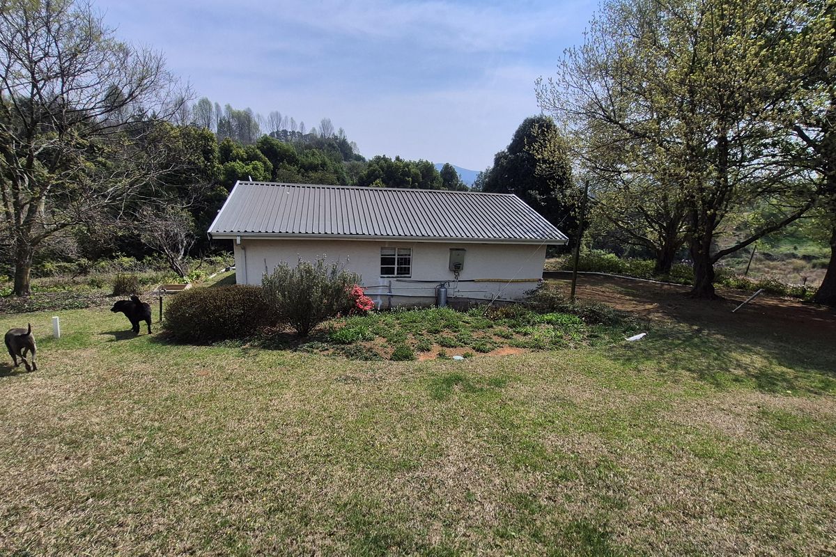 A view of the rear exterior of a farm building featuring a corrugated metal roof and plastered walls set within a spacious garden.