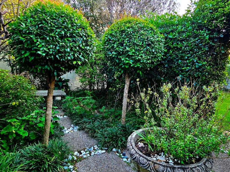 A lush, well-maintained private garden featuring mature topiary trees, a stone pathway, and a manicured lawn area.