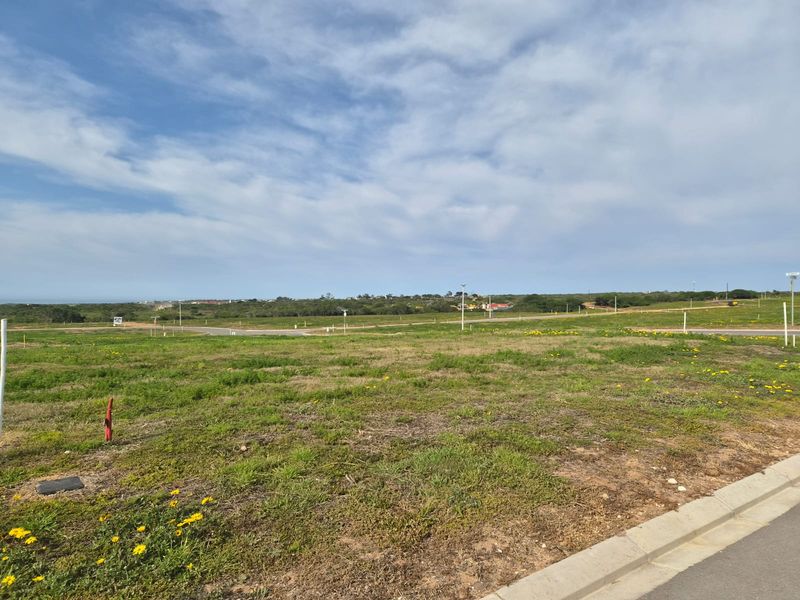 A vacant residential plot featuring natural grass coverage, accessible via a paved road with visible utility markers.